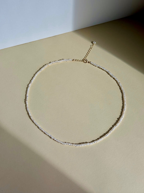 Mini Seashell Necklace